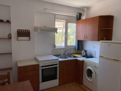 Plastiras Sea View Apartments