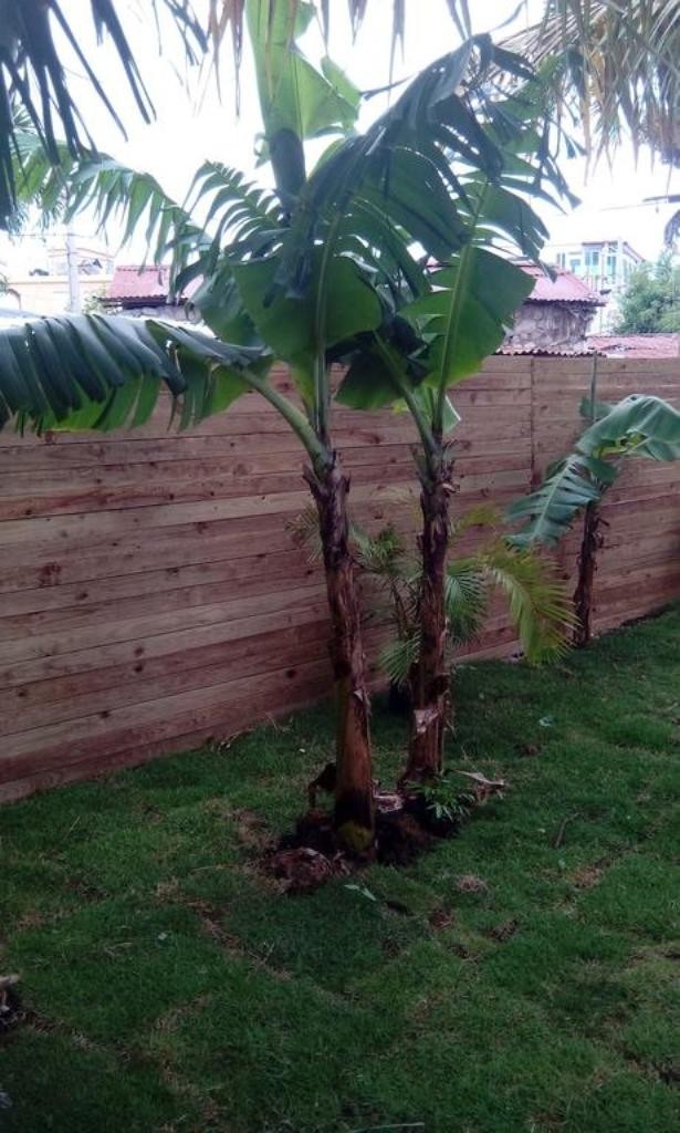 Bed & Breakfast Caba�a Tipica Maura