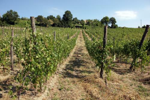 Agroturismo Podere Pradarolo