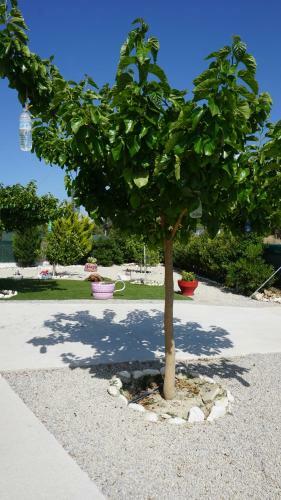 Oasis House - For Relaxing Holidays Near The Beach