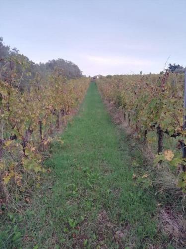 Apartamento La Campagna Di Rosy