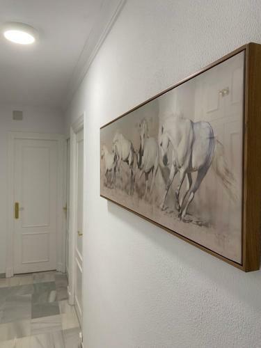 Apartamento C�ntrico ?los Pajaritos? Con Garaje.