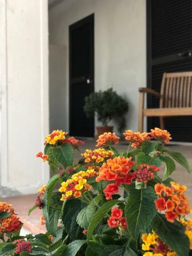 Agroturismo Il Ritrovo Del Cavaliere