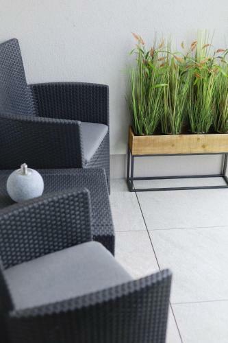 Modern Apartment