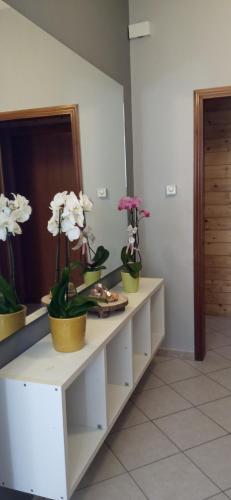 Apartamento Appartamento Grazioso Lecce.