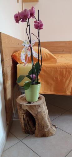 Apartamento Appartamento Grazioso Lecce.