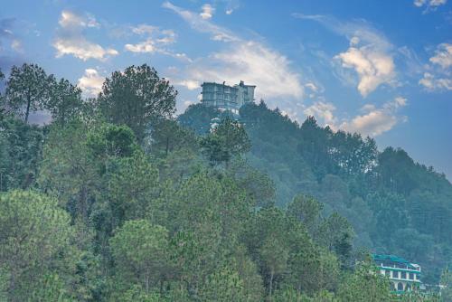 Pine Dream Resort L Kasauli L Barog