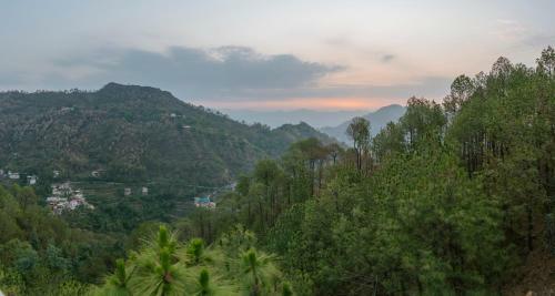Pine Dream Resort L Kasauli L Barog
