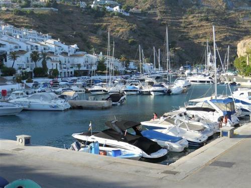 The Marina House