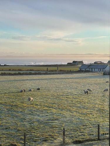 Bed & Breakfast Flotnar H�s