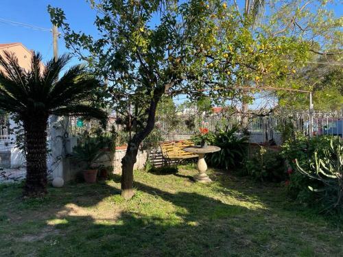 Apartamento Appartamento Rose