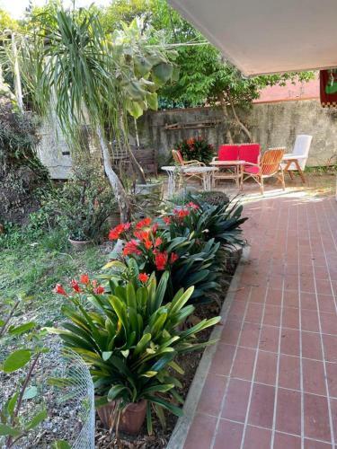 Apartamento Appartamento Rose