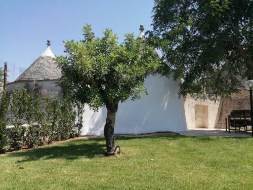 Angolo Di Puglia