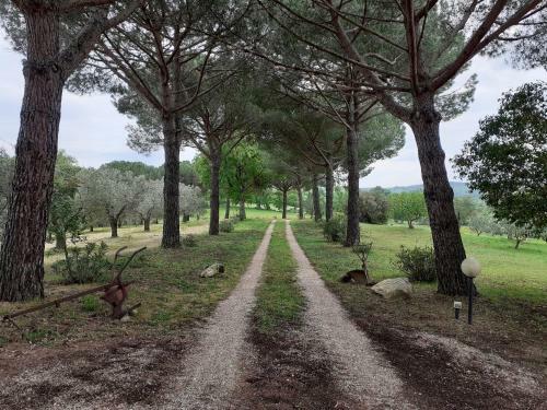Podere Belvedere Villa Classic Tuscan
