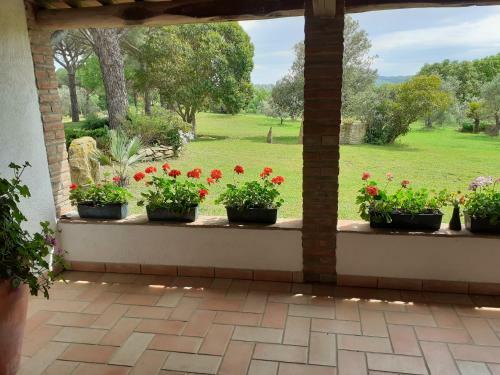 Podere Belvedere Villa Classic Tuscan