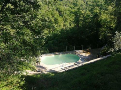 Charming 1 Bed Cottage In The Lucca Countryside