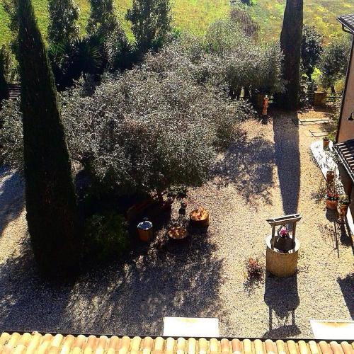 Il Giardino Dei Flintstones B&B