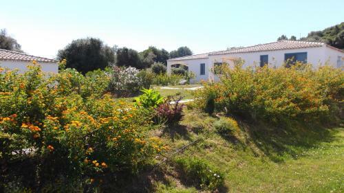 Hotel Baia Cea