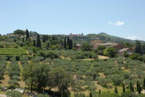 Agroturismo La Piaggiola Degli Olivi