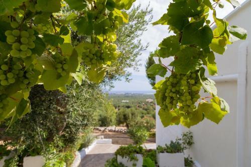 B&B Alla Panoramica