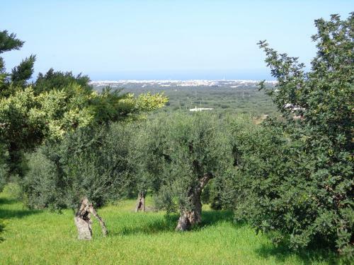 B&B Alla Panoramica
