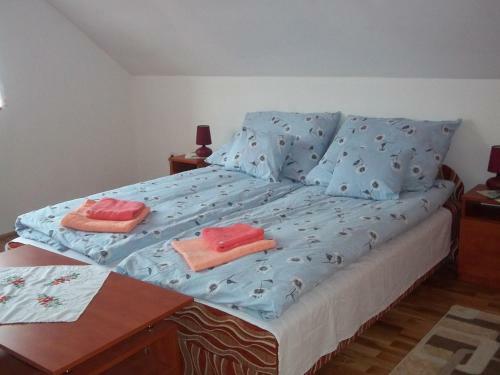 Hostal Szikla Vend�gh�z