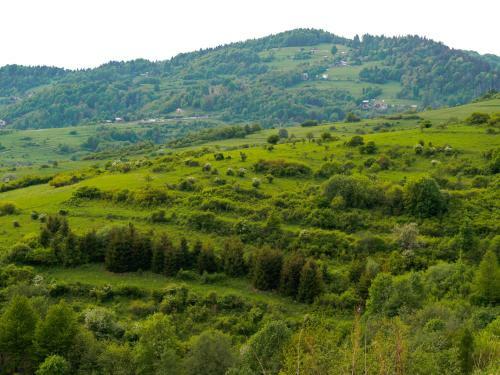 Hostal Domek Na S?onej