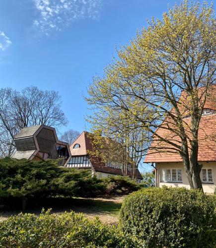 Gr�ne Wiek An Der Ostsee