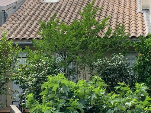 Apartamento Les Cam�lias
