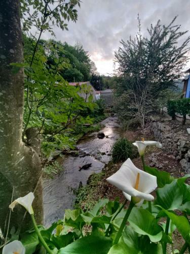 Casa Rural La Cobaraza Vv