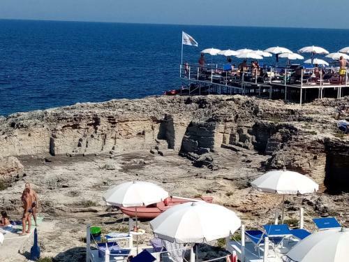 Apartamento Venustas Home