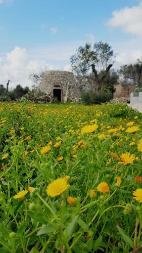 Apartamento Venustas Home