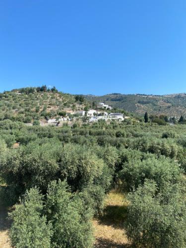 Apartamento Casa Uliveto Mattinata