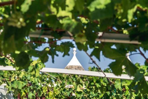 Villa Unique & Tranquil Trullo W Pool, Bbq, Views + More