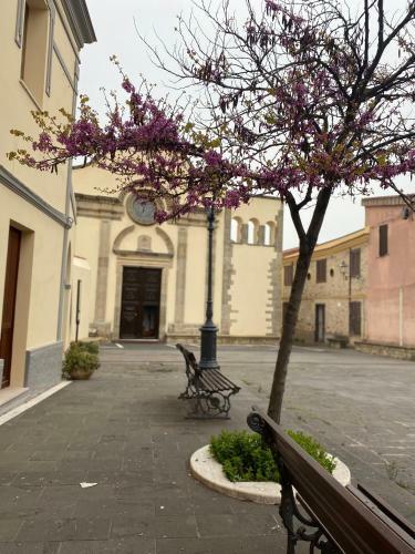 Apartamento La Casa Del Ricamo Sardo Casa Campidanese