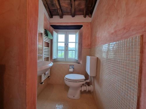 Holiday Home In Orbicciano-camaiore-lu With Private Pool