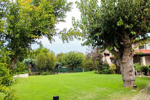 Luxus Urlaub Auf Dem Gardasee