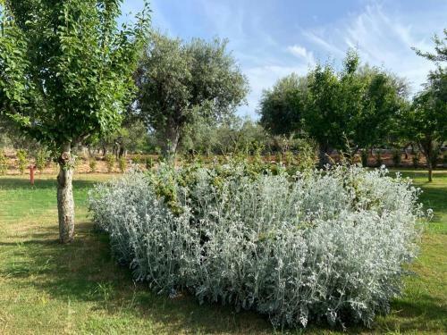 Il Villino Di Grazio