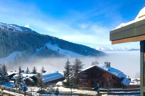 Apartamento Penthouse L'ourse Bleue