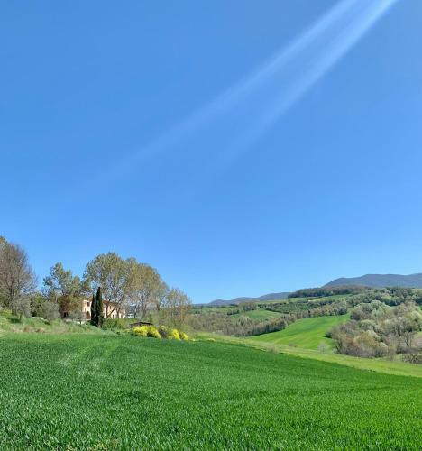 Fattoria San Lorenzo