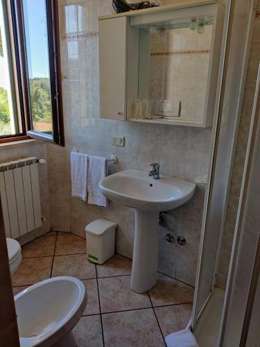 Hostal Affittacamere La Rondinella