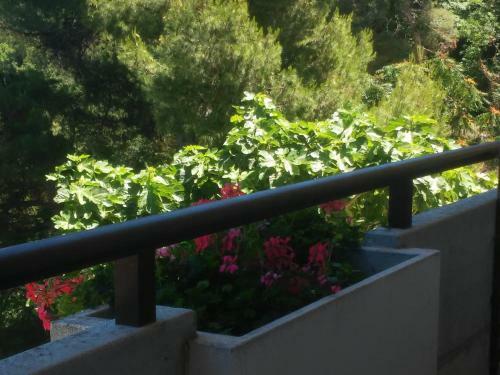 B&B Colle Foresta