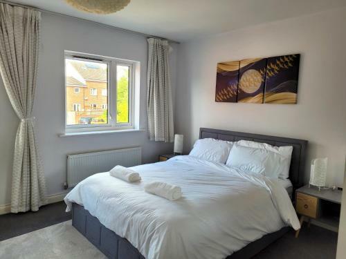 Conveniently Located Modern 3 Bedroom W/ Parking