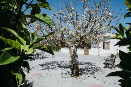 Apartamento Essenza Country House