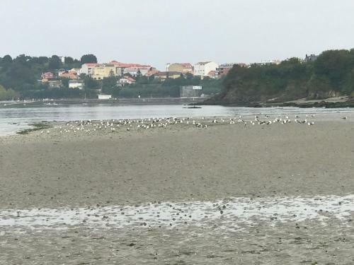 Apartamento Playas De Mi�o 8 Personas