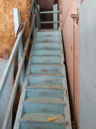 Apartamento Ferme Du Sapin