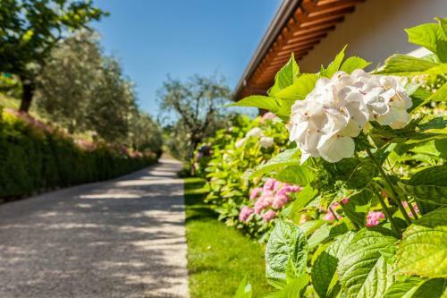 Agroturismo Quercia Belvedere Relais