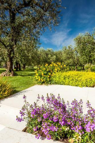 Agroturismo Quercia Belvedere Relais