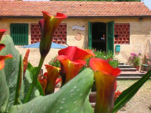 Agroturismo Agriturismo Le Pianore