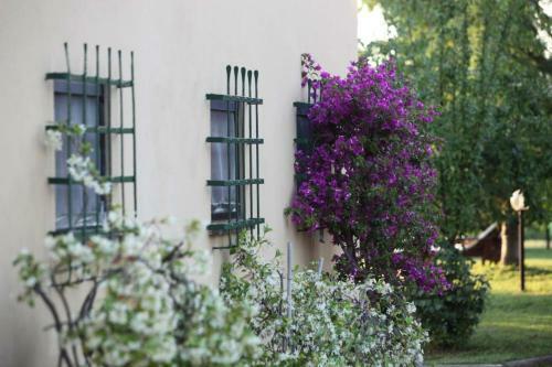 Agroturismo Agriturismo Le Pianore